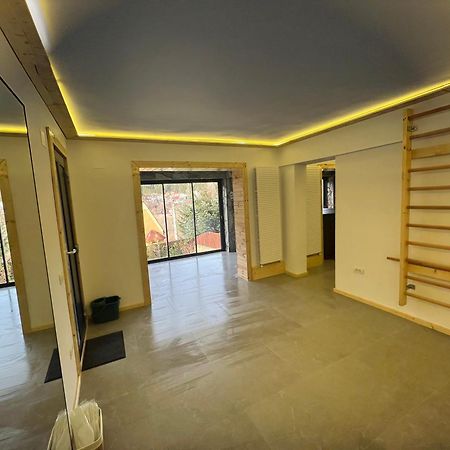 Vila The Bear House 2 Buşteni Exteriér fotografie