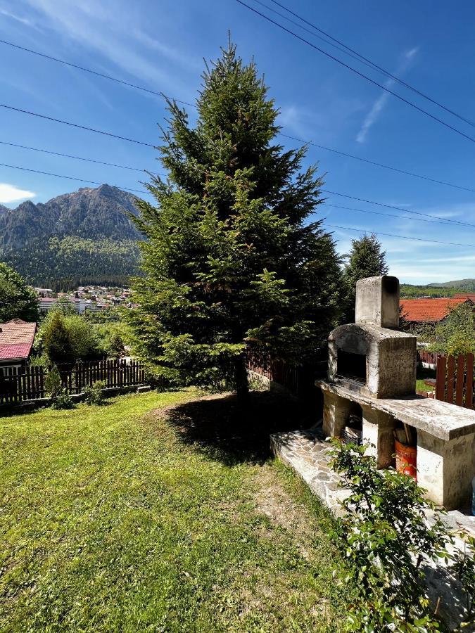 Vila The Bear House 2 Buşteni Exteriér fotografie