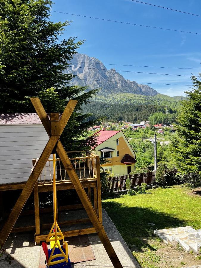 Vila The Bear House 2 Buşteni Exteriér fotografie