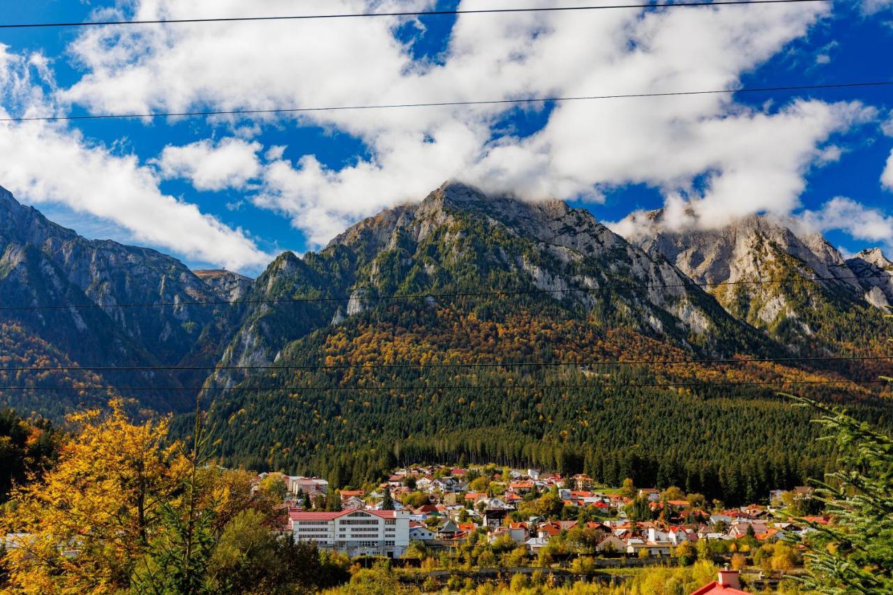 Vila The Bear House 2 Buşteni Exteriér fotografie